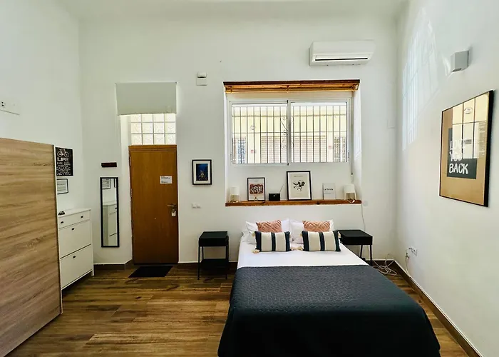 Loft 55 M Nuevo, Estudio Con Techo Alto En Alicante Centro